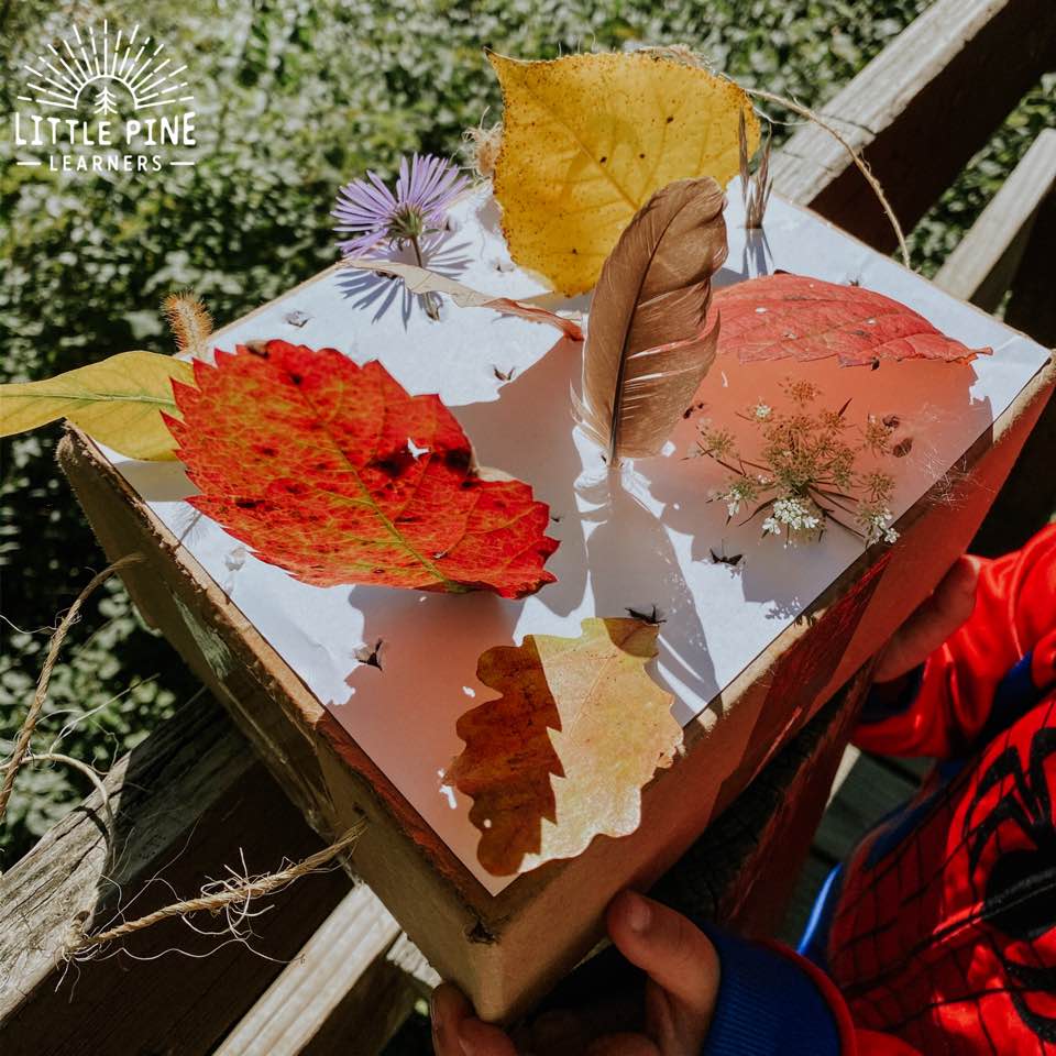 Try this fun fine motor activity for kids! This is perfect to try on a beautiful fall day, but will work for anytime of year. You can bring this on your next nature walk or use it to display nature finds in your home! Children will love rearranging their nature collection and adding new pieces as the year progresses.