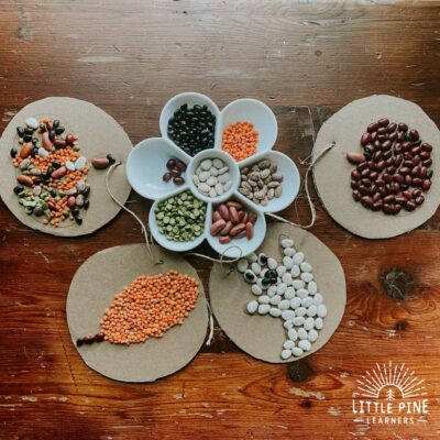 Seed Picture Garland for Fall