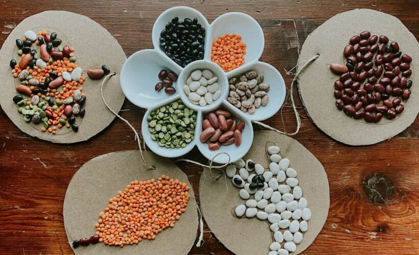 Seed mosaics for kids!