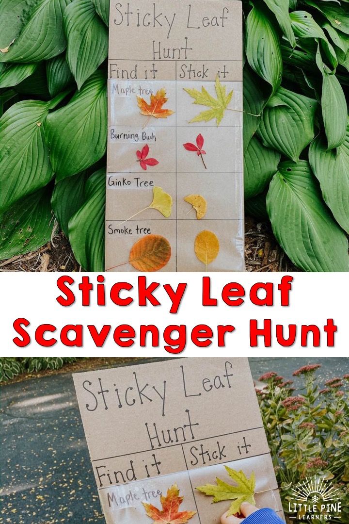 Here is an simple and fun outdoor activity for fall! This is so easy to set up and kids will LOVE searching for their favorite leaves. This activity is awesome for teaching children nature identification at a young age and will help them learn the shapes of different types of leaves. 