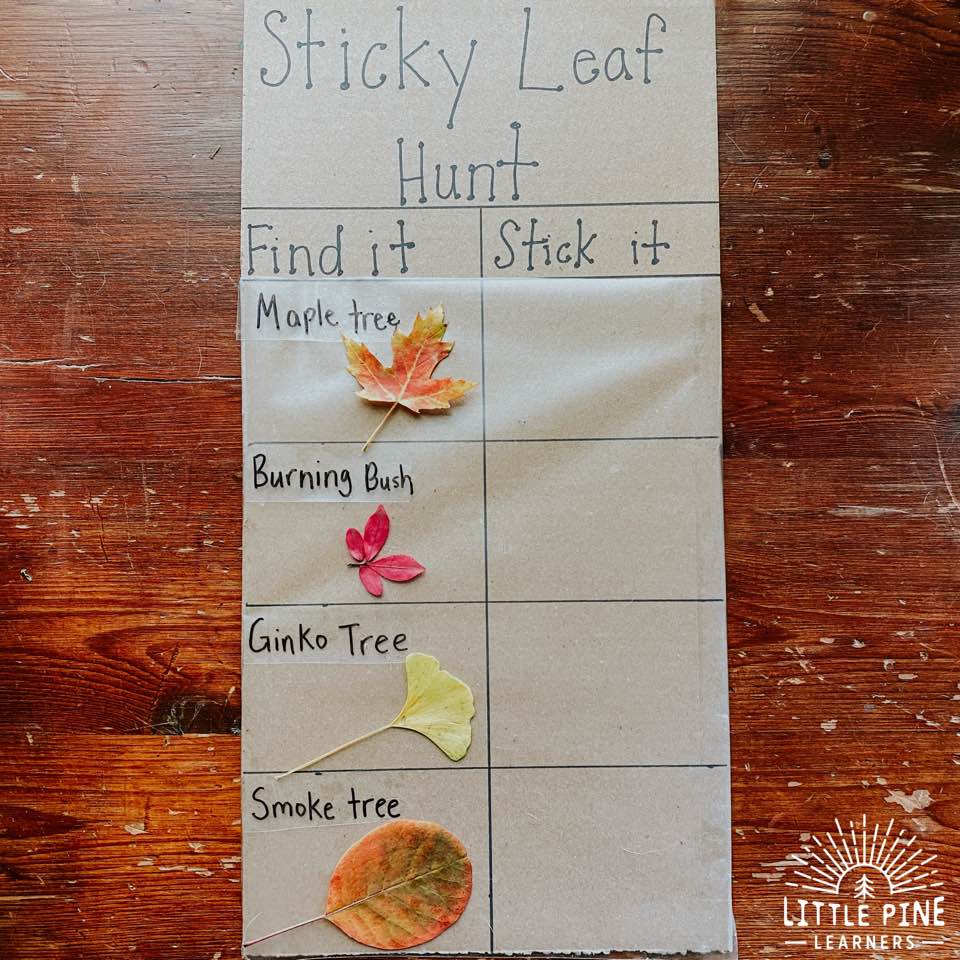 Fall activity for kids!