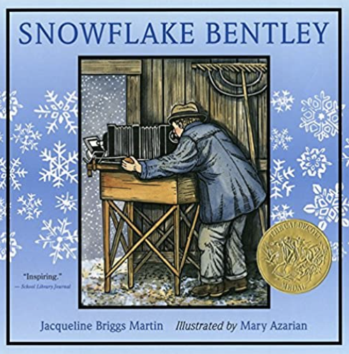 Check out 40+ nature-inspired winter picture books for kids right here in one spot! You will find books about snow, hibernation, polar and arctic animals, and general winter topics.