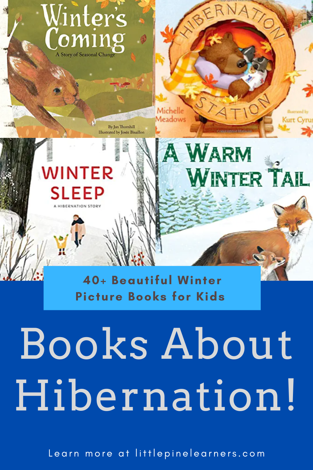 40+ Winter Picture Books for Kids • Little Pine Learners