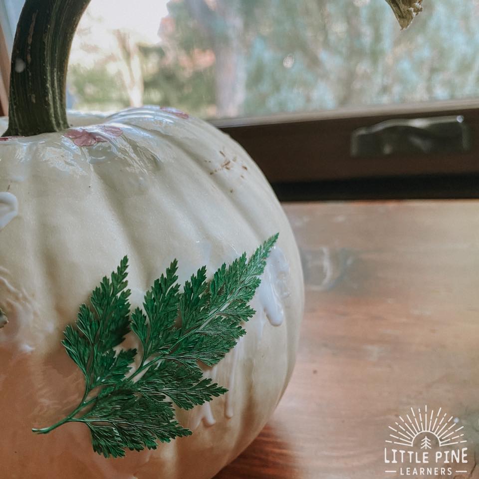 Pretty pumpkin with pressed pieces of nature