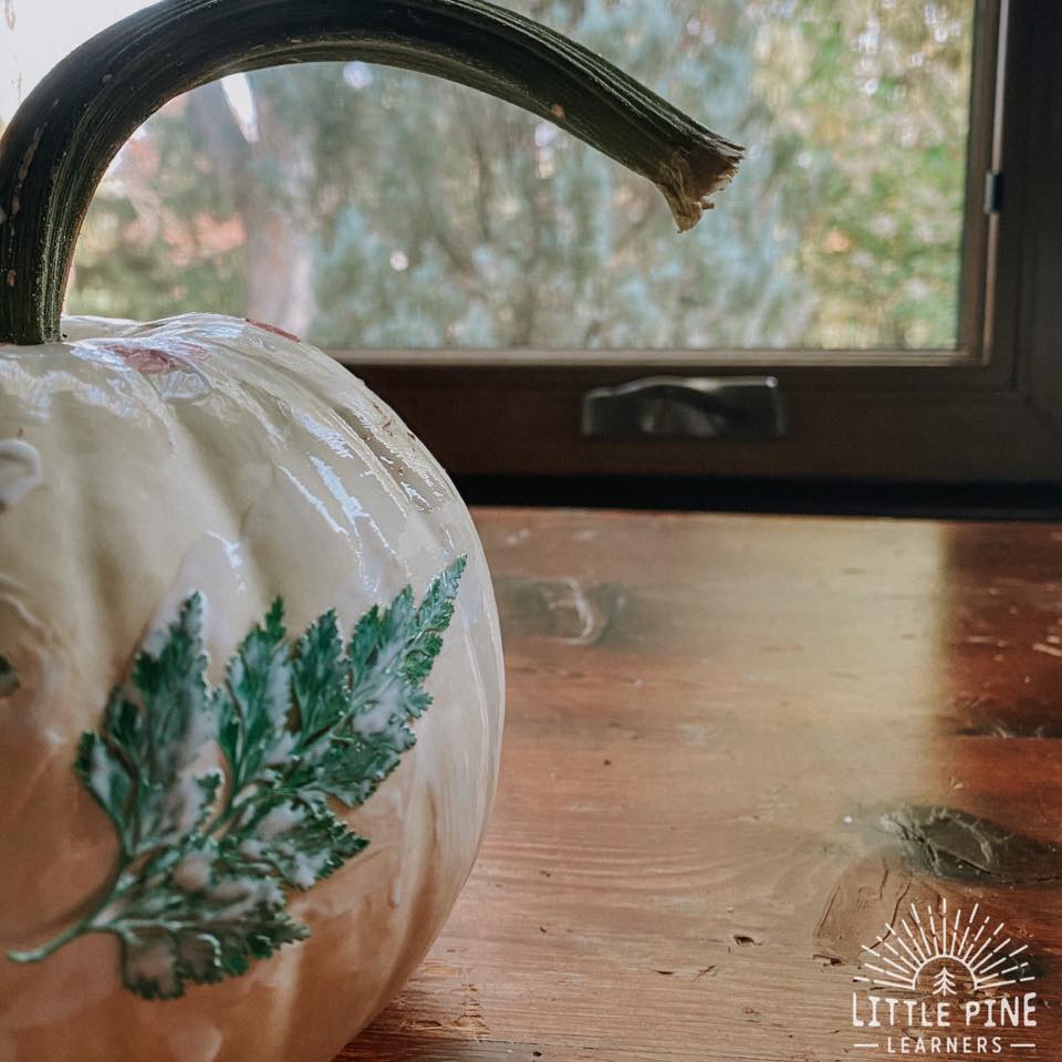Pretty pumpkin with pressed pieces of nature
