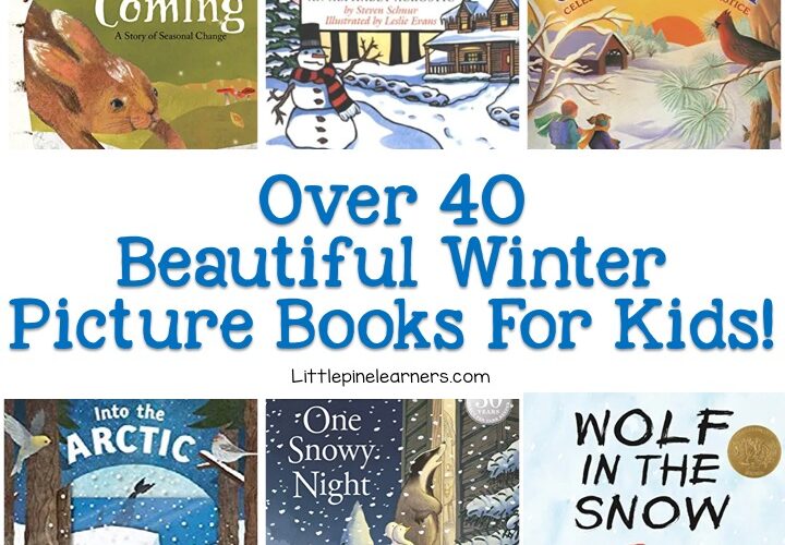 Check out 40+ nature-inspired winter picture books for kids right here in one spot! You will find books about snow, hibernation, polar and arctic animals, and general winter topics.