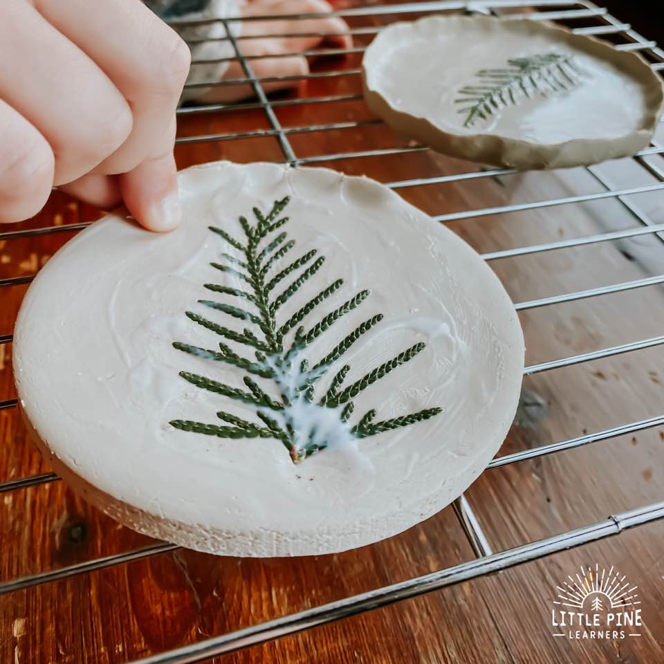 Clay dish with evergreen pieces.