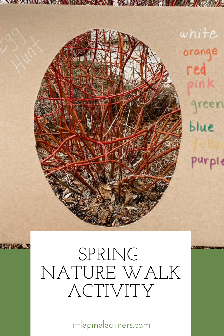 Spring nature walk