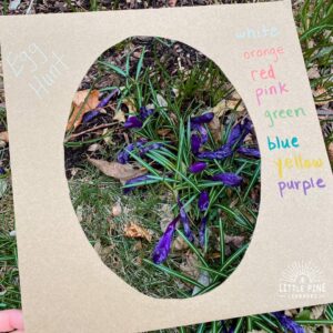 Easy Spring Nature Walk Activity for Kids • Little Pine Learners