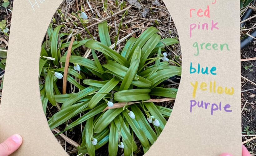 Nature walk activity for kids