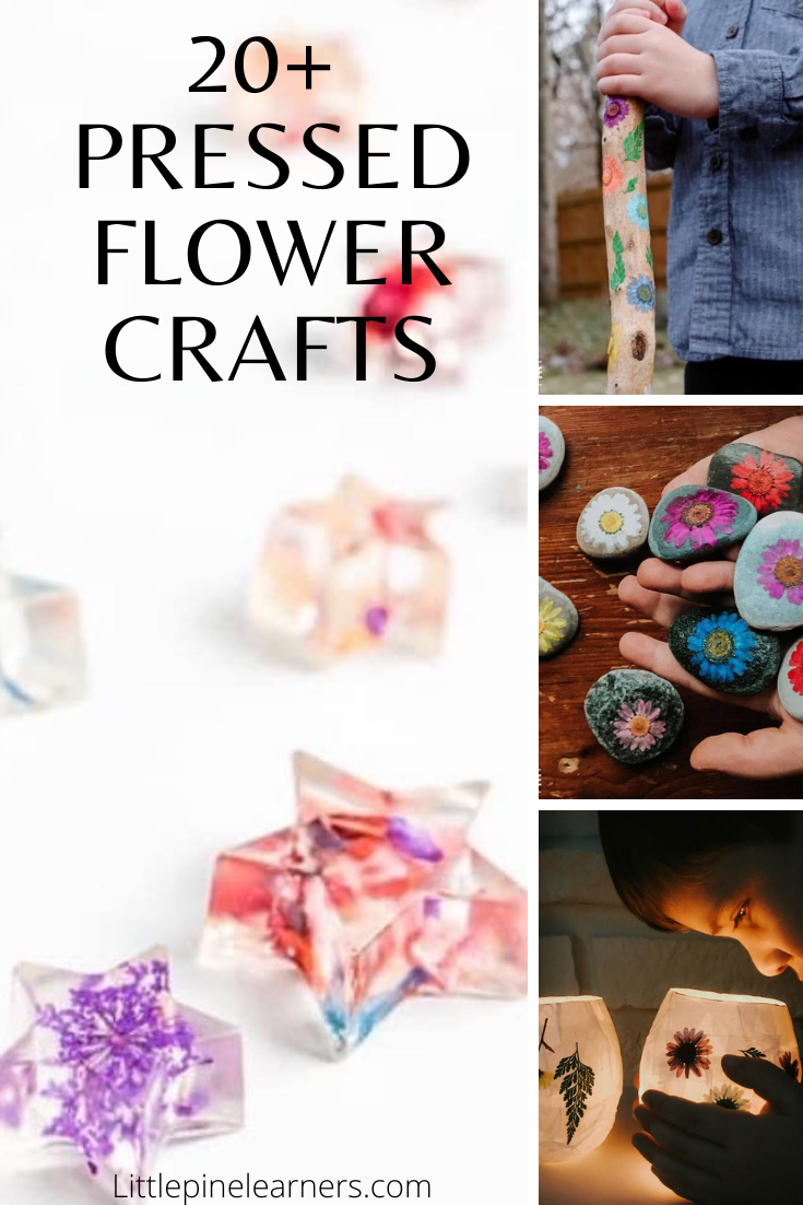 Stunning Pressed Flower Crafts