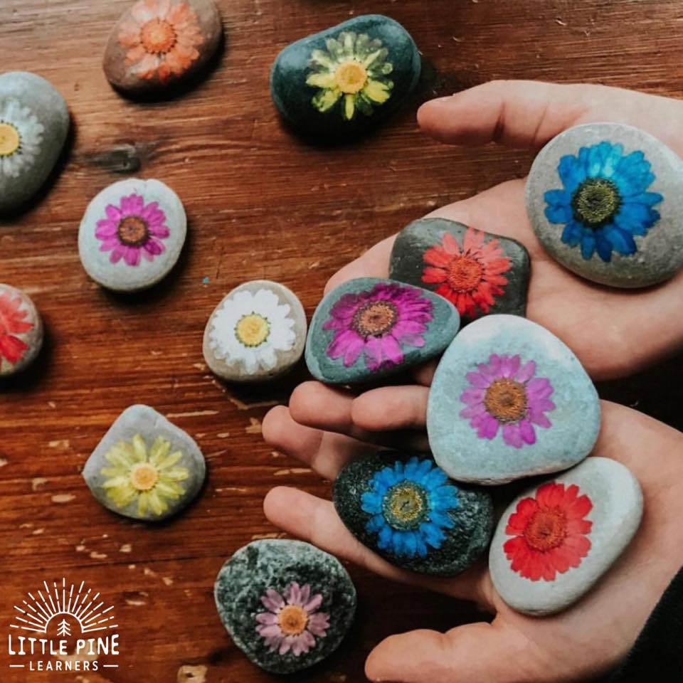 Pressed Flower Rocks