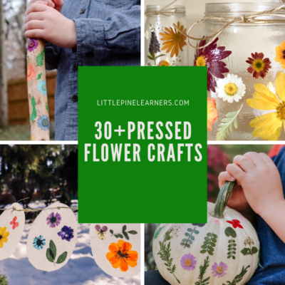 30+ Beautiful Pressed Flower Crafts