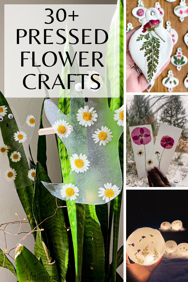 DIY Book Flower Press (free craft from the garden)