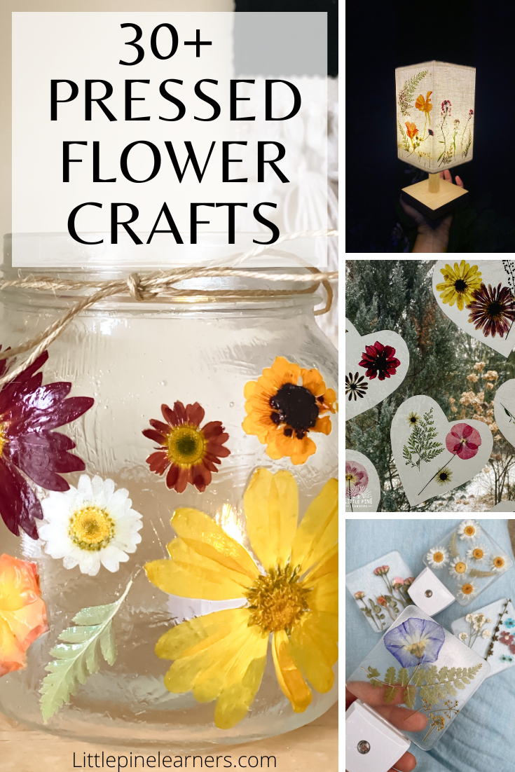 30+ Beautiful Pressed Flower Crafts • Little Pine Learners