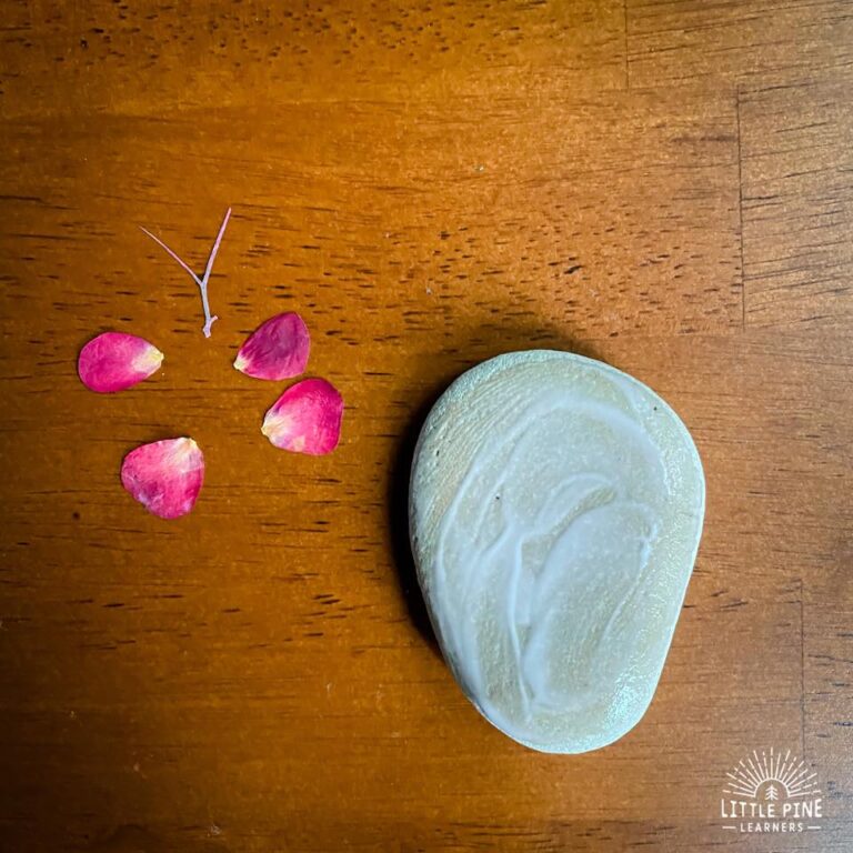 Flower Petal Rocks Flower Petal Art on Rocks • Little Pine Learners