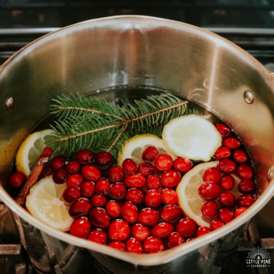Potpourri Simmering Pot Recipes for Fall and Winter