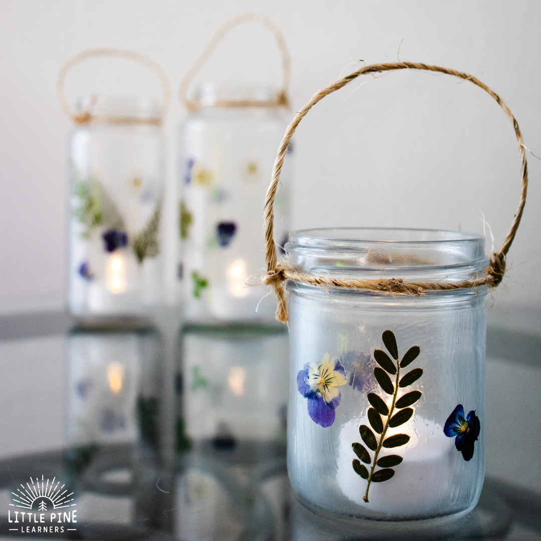 Pressed Flower Jar Lantern