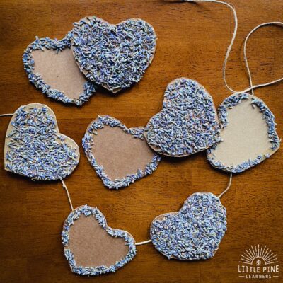 Lavender and Cardboard Hearts