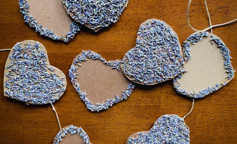 Lavender and Cardboard Hearts