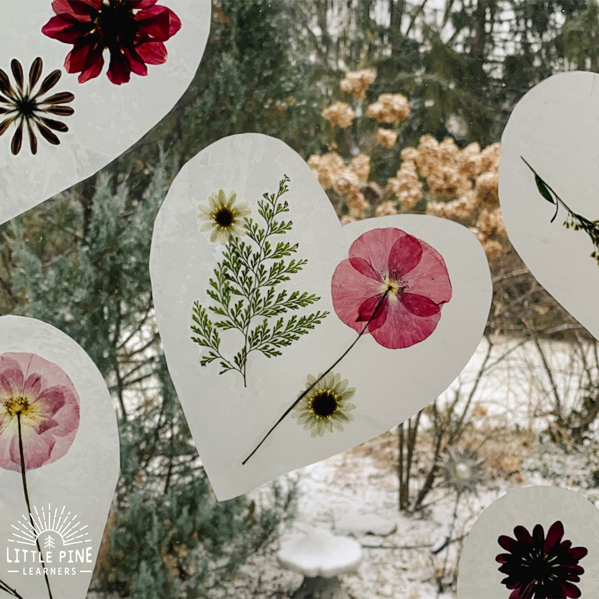 20 Pressed Flower Nature Crafts – Craft Gossip