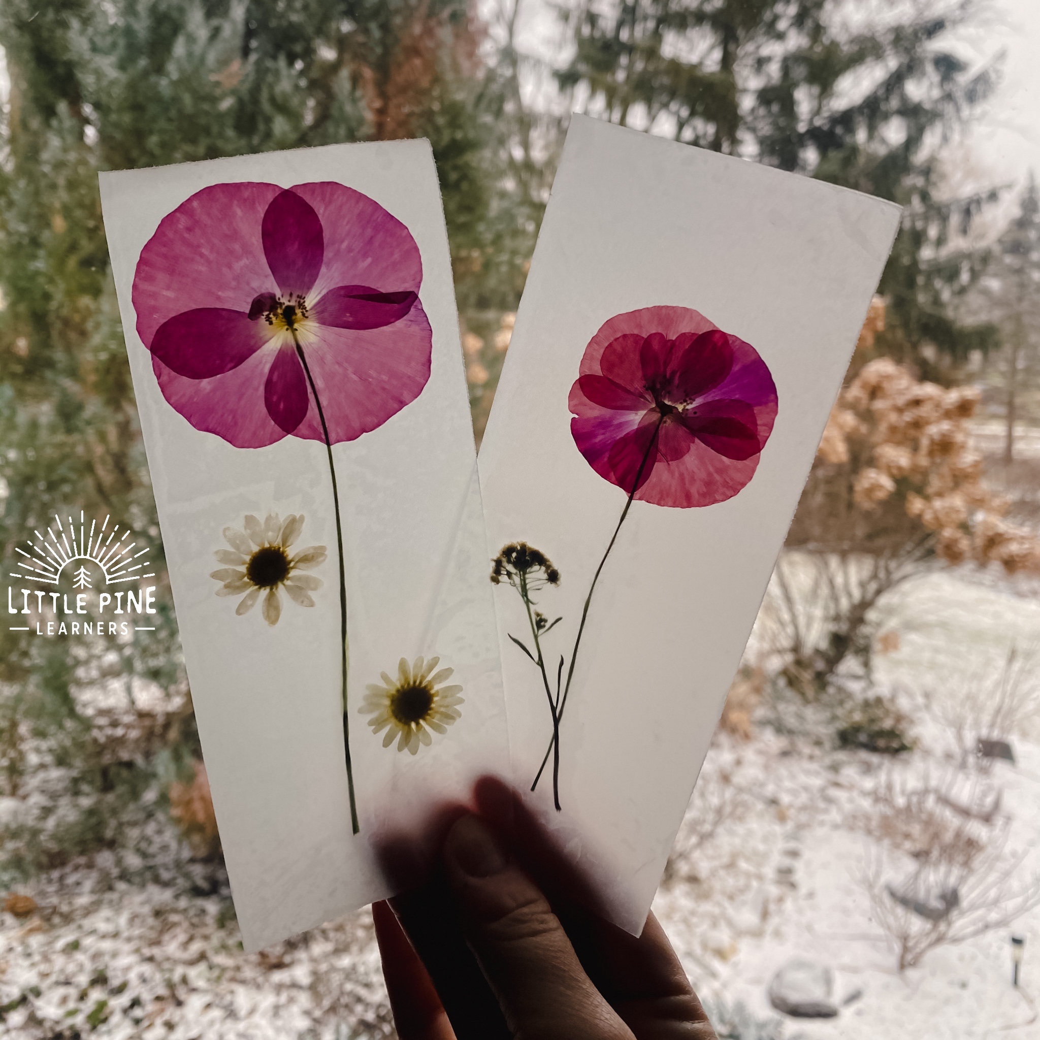 Stunning pressed flower bookmark