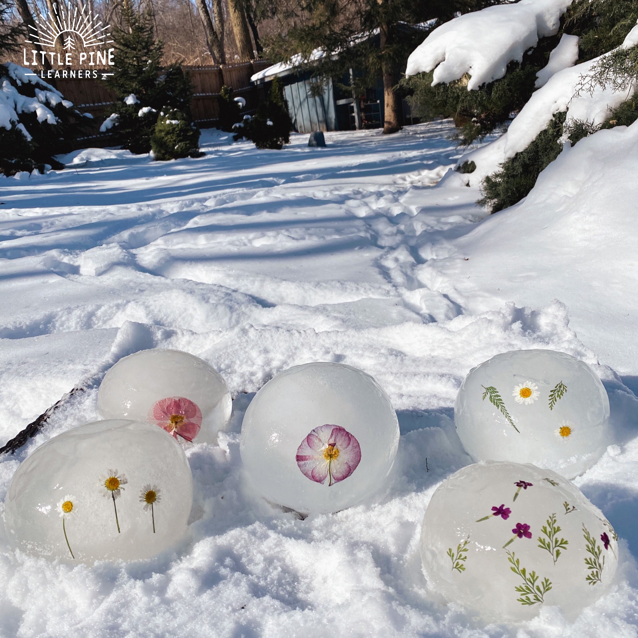 Ice Luminaries with nature pieces