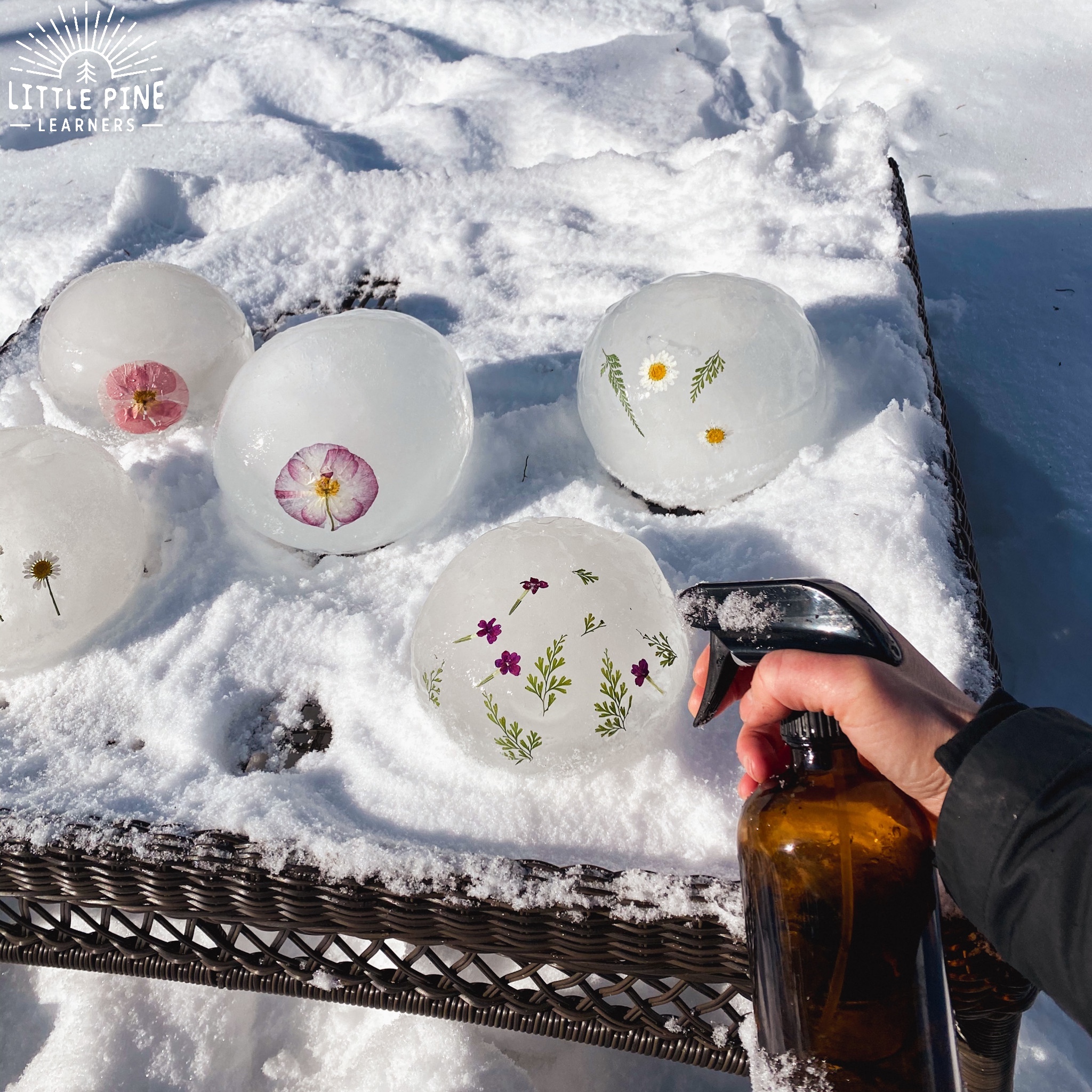 Ice luminaries with pieces of nature