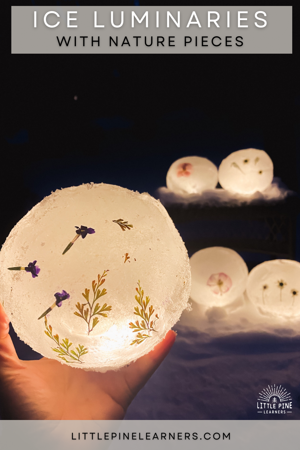 Ice Luminaries with Nature Pieces