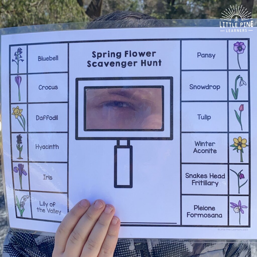 Nature Scavenger Hunt Printables • Little Pine Learners