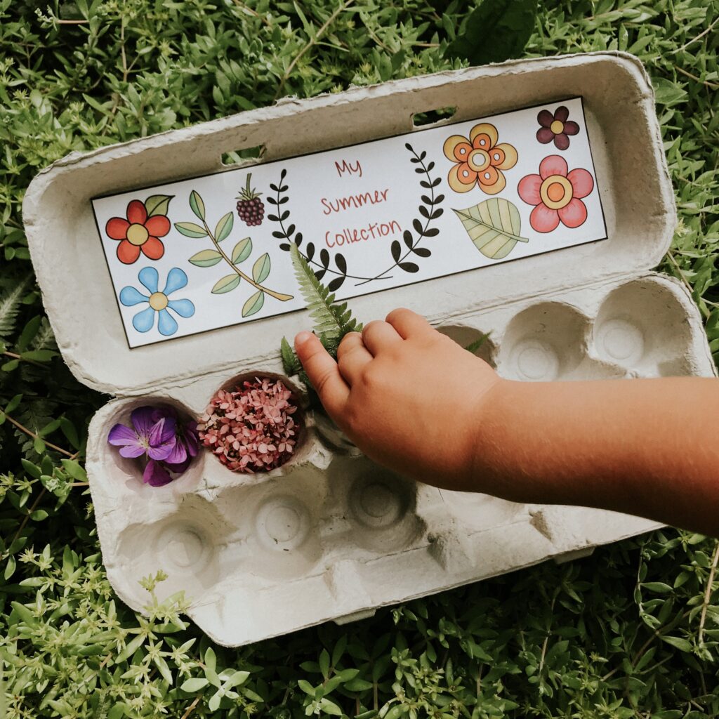 Outdoor Scavenger Hunt Ideas for Kids • Little Pine Learners
