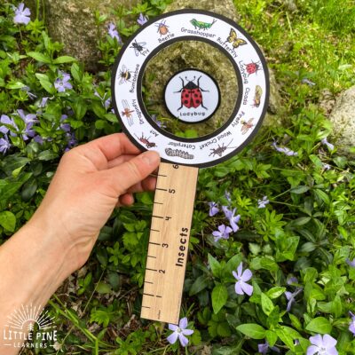 Outdoor Scavenger Hunt Ideas for Kids • Little Pine Learners