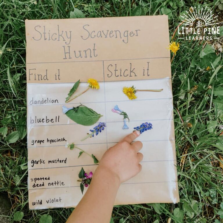 Outdoor Scavenger Hunt Ideas for Kids • Little Pine Learners