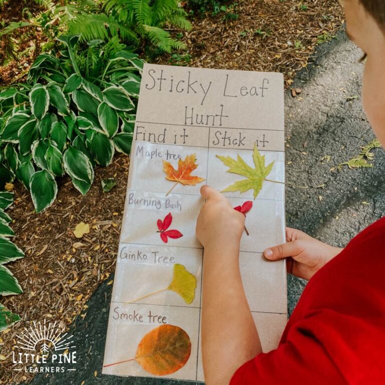 Outdoor Scavenger Hunt Ideas for Kids • Little Pine Learners