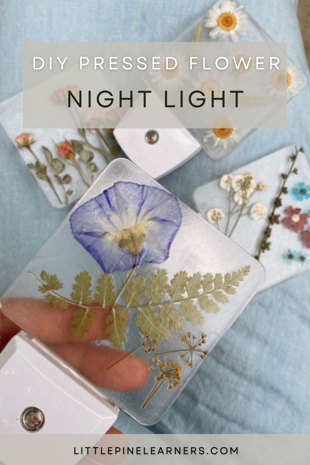 DIY Pressed Flower Night Light