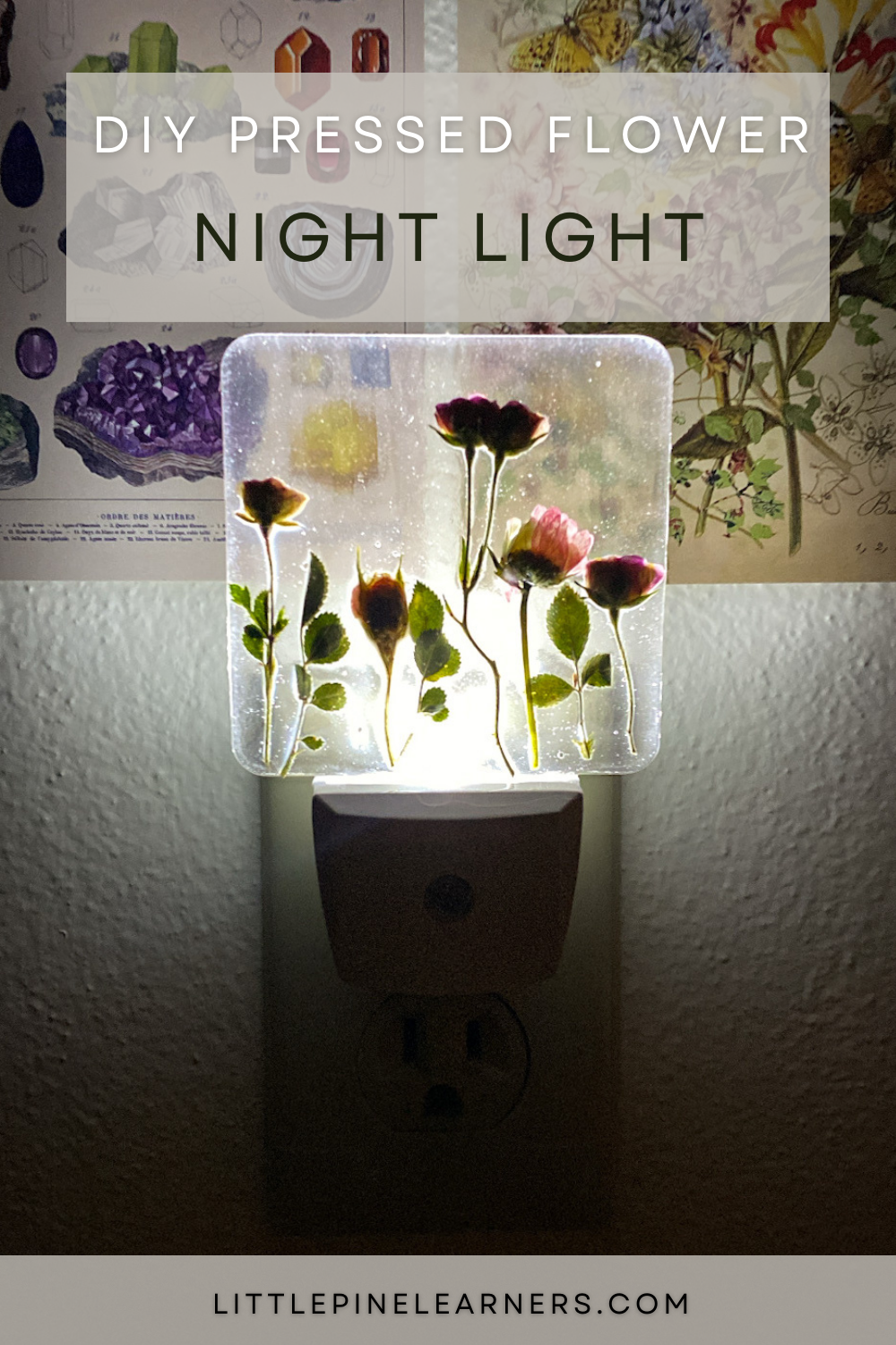 DIY Pressed Flower Night Light