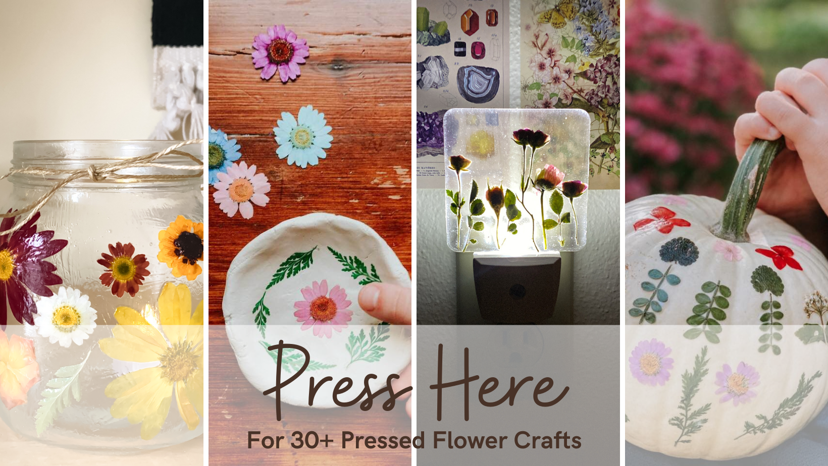 Pressed Flower Crafts