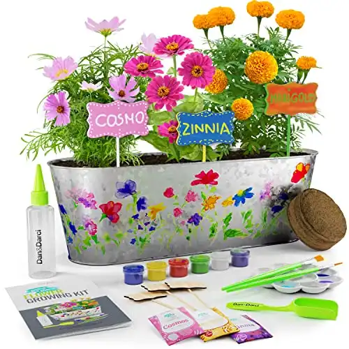 Complete Paint & Plant Flower Growing Kit for Kids