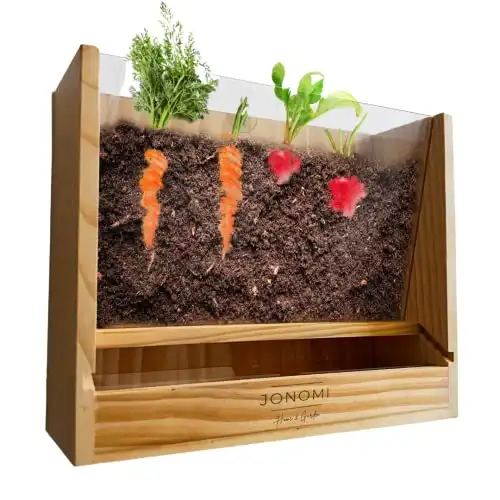 Vegetable Root Viewer - Indoor Planter with Window to Watch Roots as They Grow. Engaging Science Project for Kids and Students