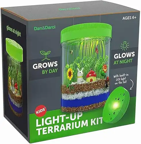 Light-Up Terrarium Kit for Kids