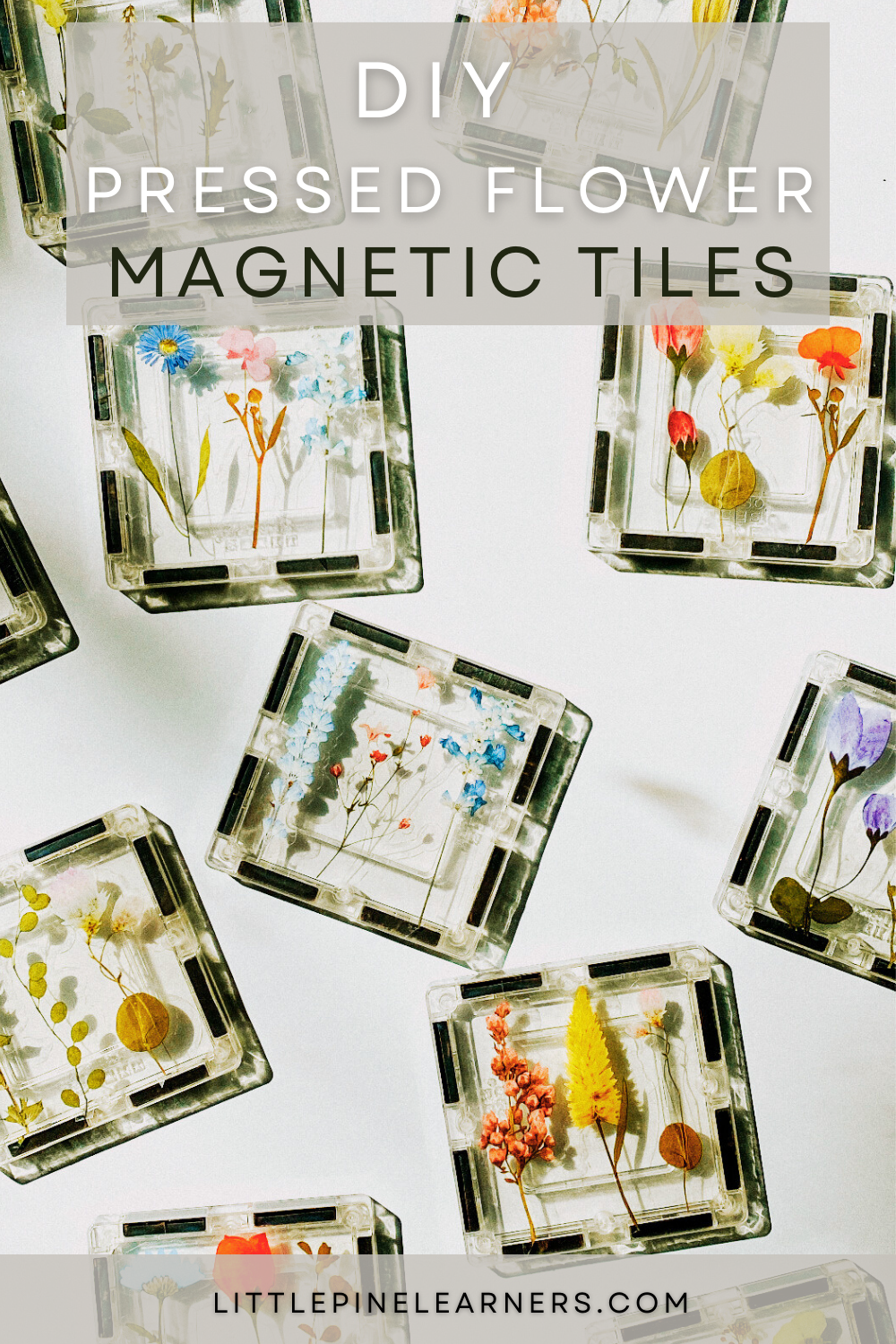 DIY Pressed Flower Magnetic Tiles for Kids