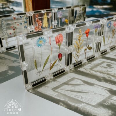 Pressed flower stickers on magnetic tiles