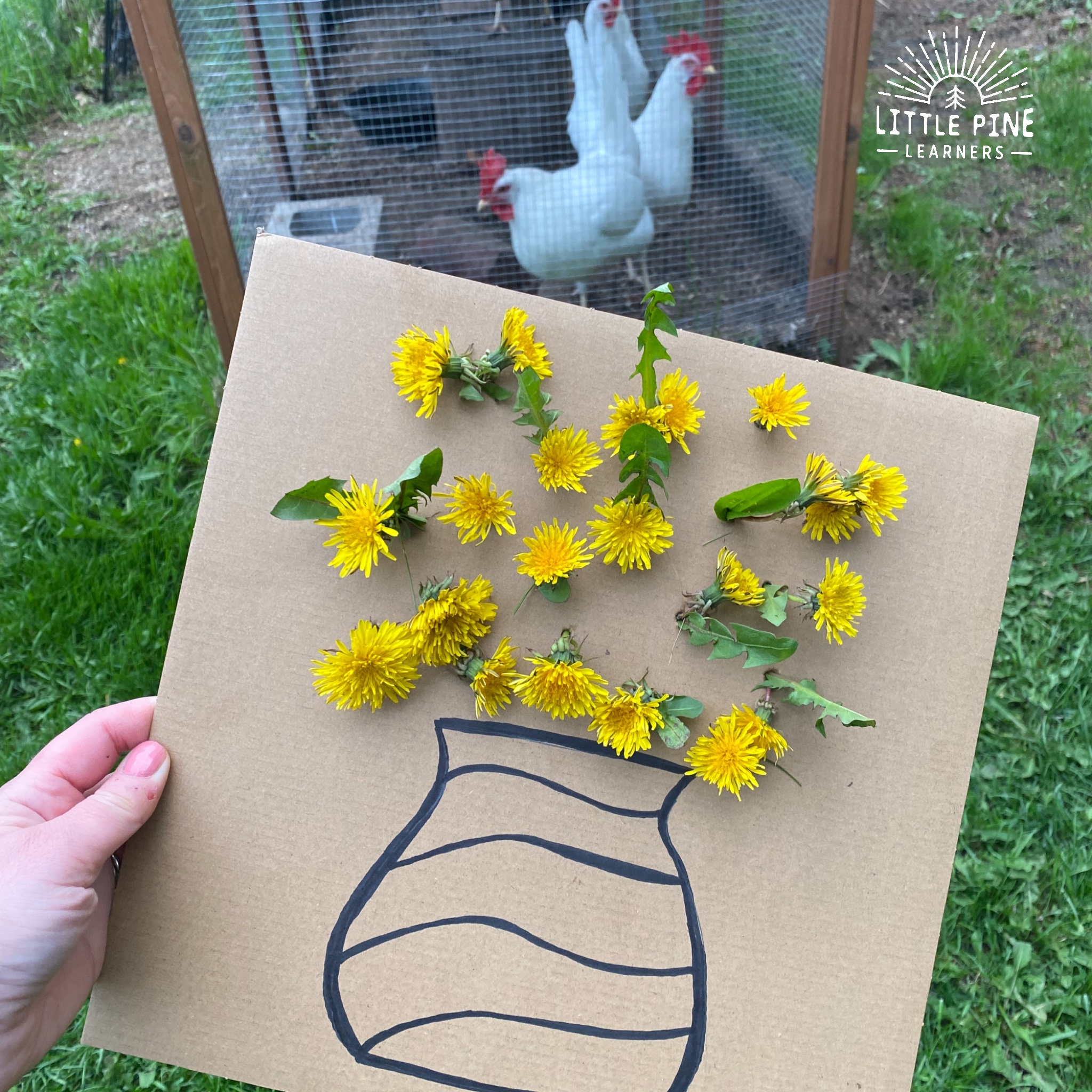 Chicken Boredom Buster- Pecking Board • Little Pine Learners